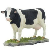 Farm Animal