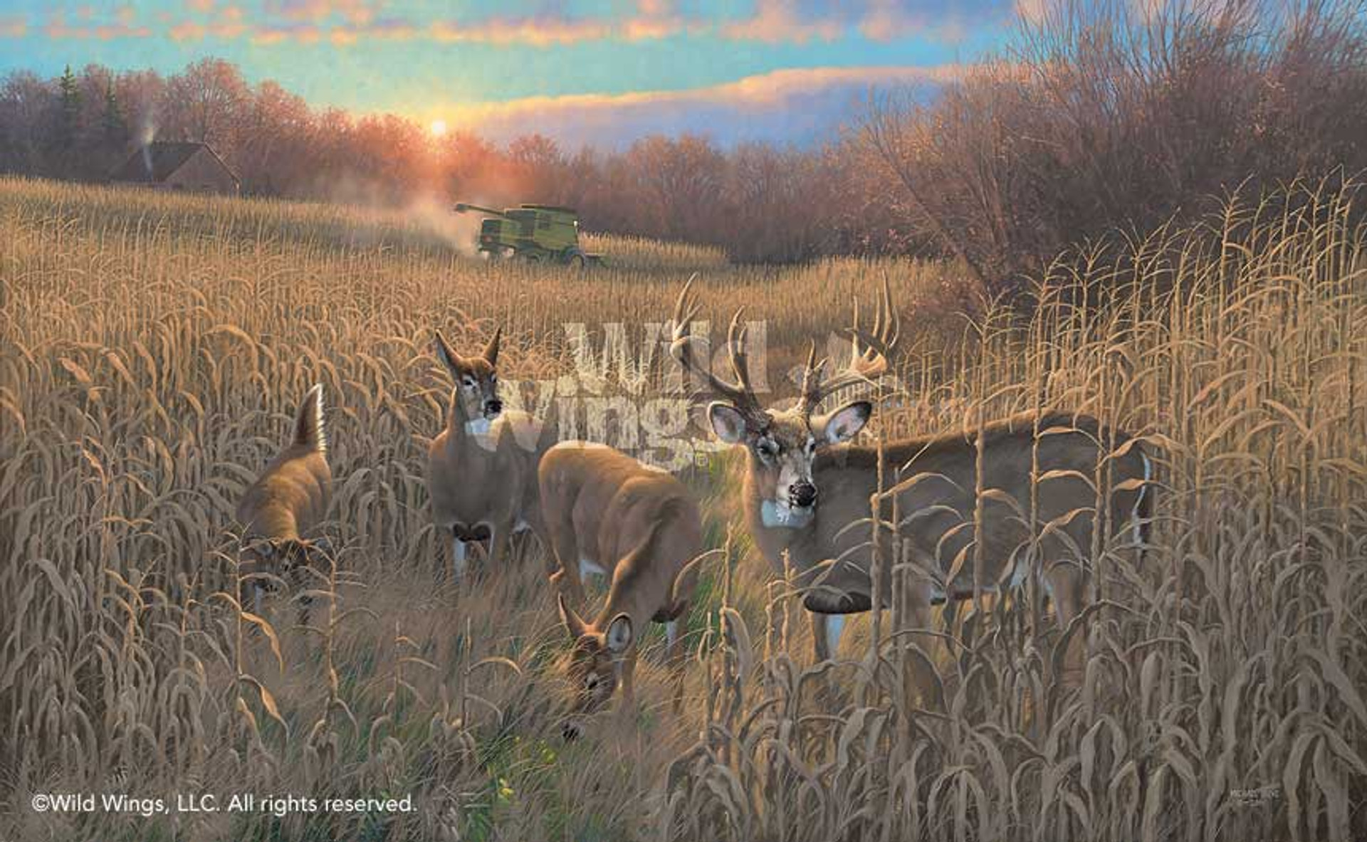 Woodland Splendor Whitetail Deer Wrapped Canvas Giclee Print Wall Art Wall Decor Wild Wings 4140