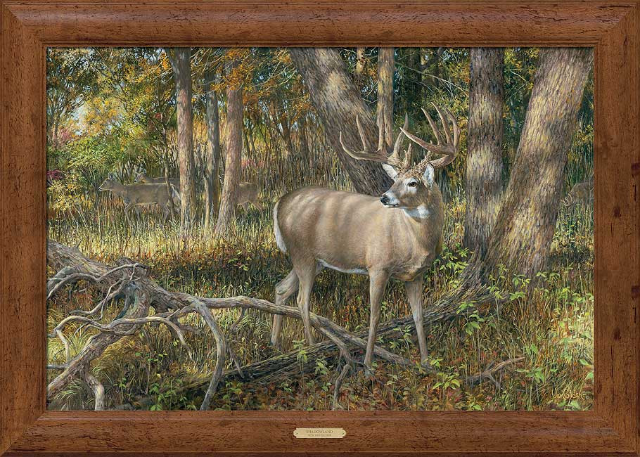 Shadowland Whitetail Deer Framed Canvas Art Print Wall Art Wall Decor