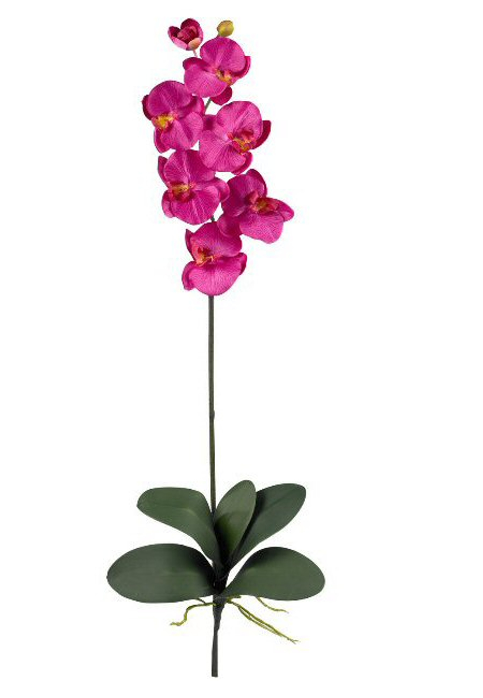 Nearly Natural Phalaenopsis Silk Orchid Flower Stems Beauty Set Of 12 Artificial Flowers 1821