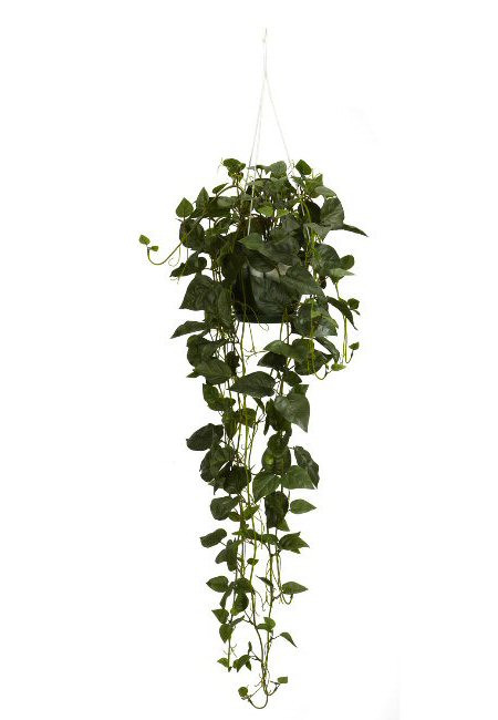 Philo Silk Plant Hanging Basket Artificial Plants Silk Plants