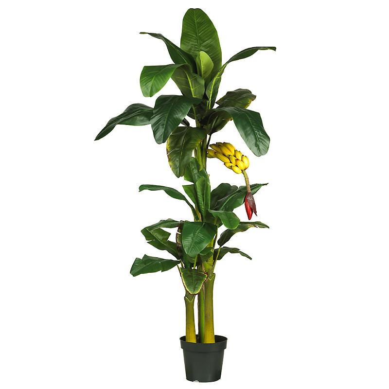 Nearly Natural 6' Triple Stalk Banana Silk Tree Artificial Trees