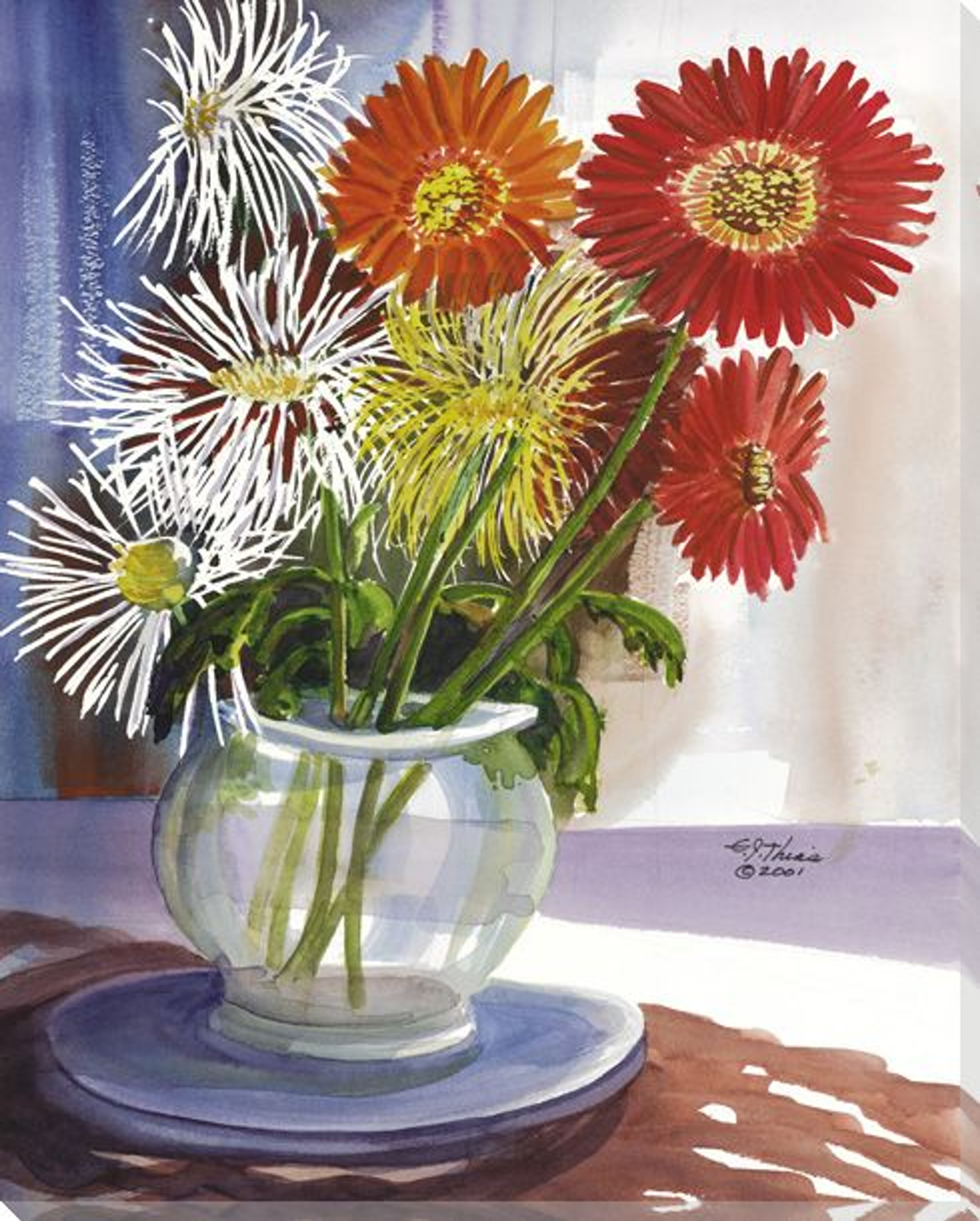 White Spider Mum Flowers Wrapped Canvas Giclee Print Wall Art - Wall