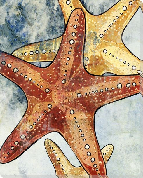Multiple Starfish Wrapped Canvas Giclee Print Wall Art | Colorful ...