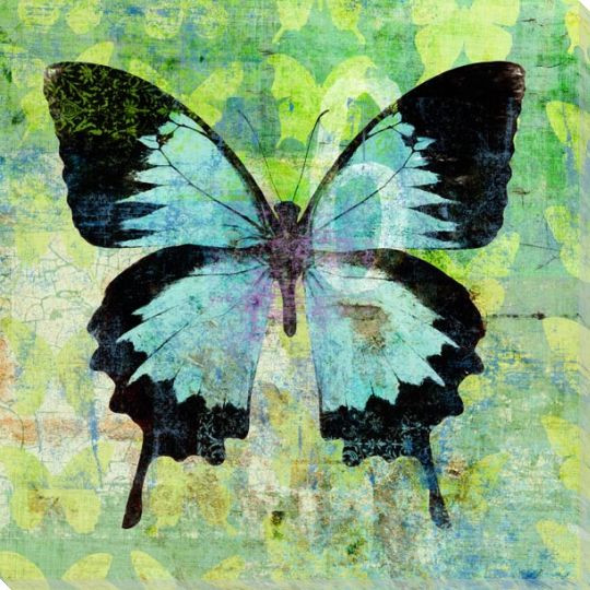 Colorful Butterfly 1 Wrapped Canvas Giclee Print Wall Art Wall Decor