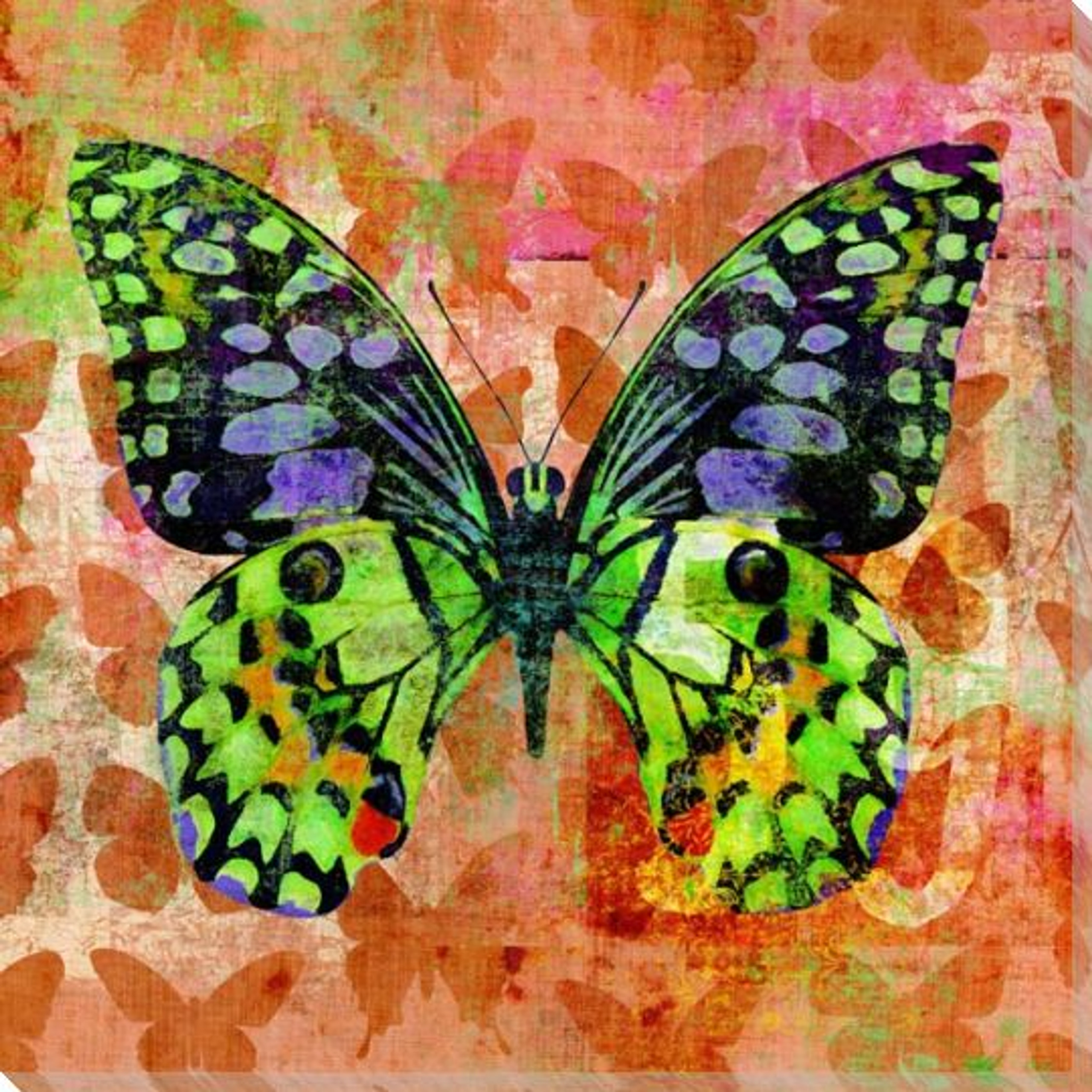 Colorful Butterflies 3 Wrapped Canvas Giclee Art Print Wall Art Wall