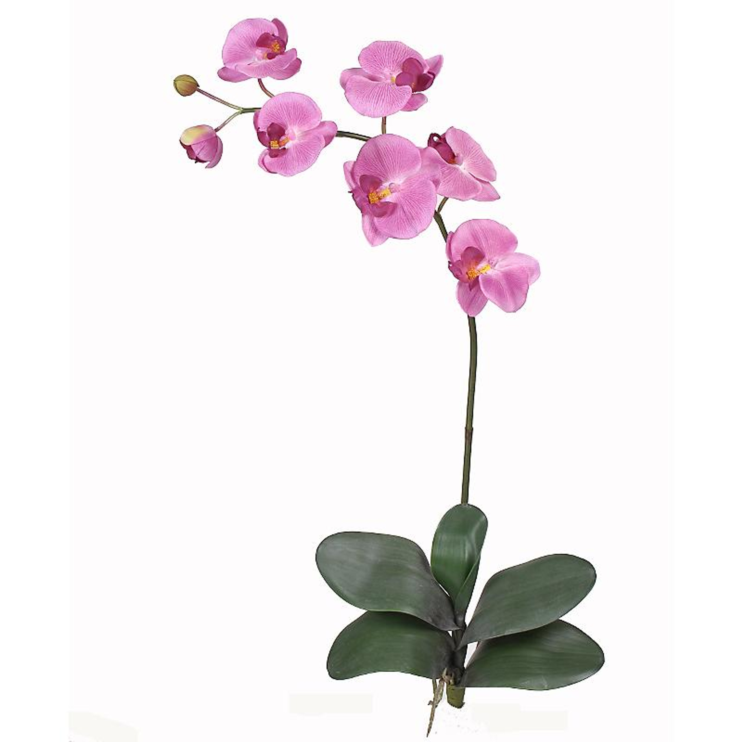 Nearly Natural Phalaenopsis Silk Orchid Flowers 6 Stems Beauty Artificial Flowers Silk 4550