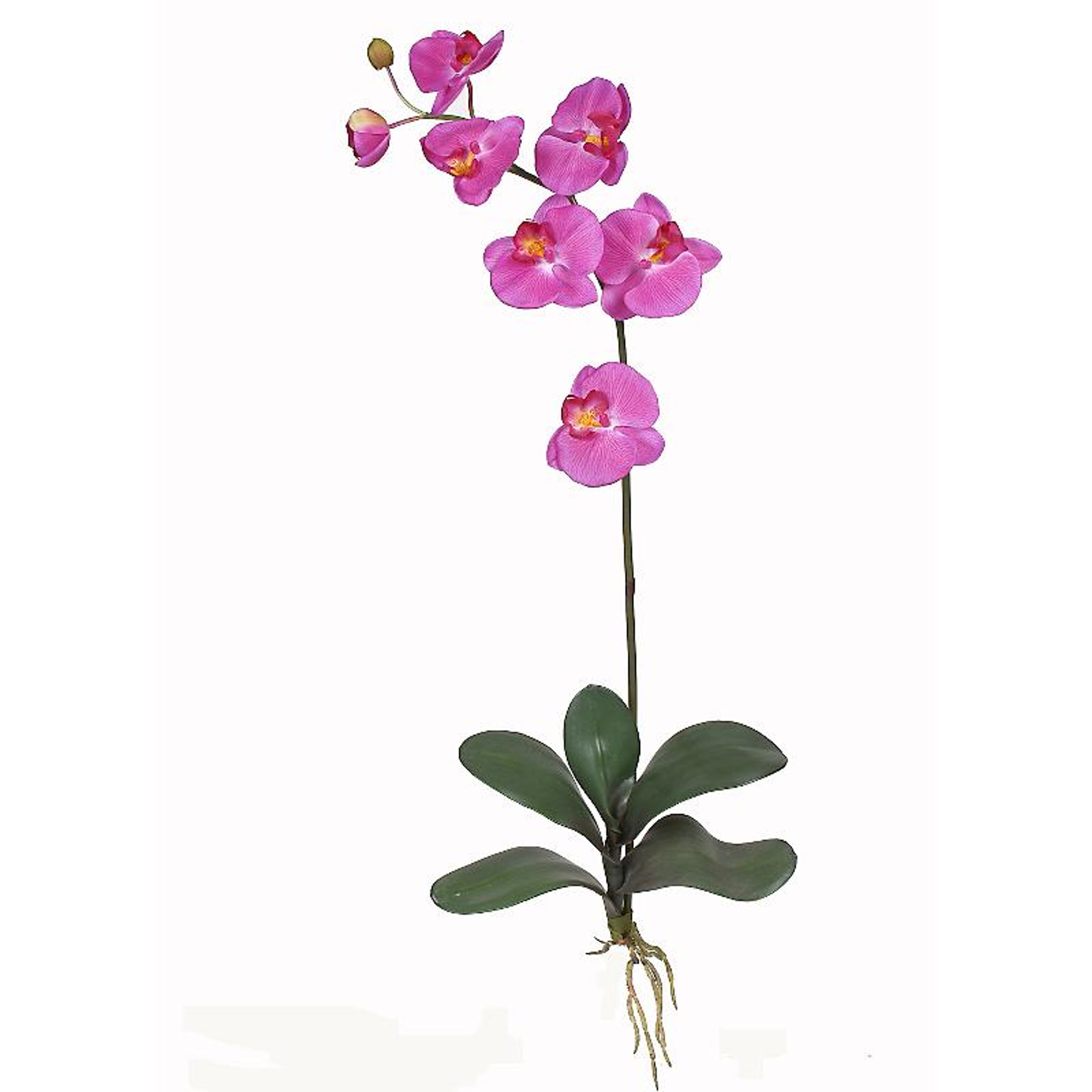 Nearly Natural Phalaenopsis Silk Orchid Flowers 6 Stems Beauty Artificial Flowers Silk 9765