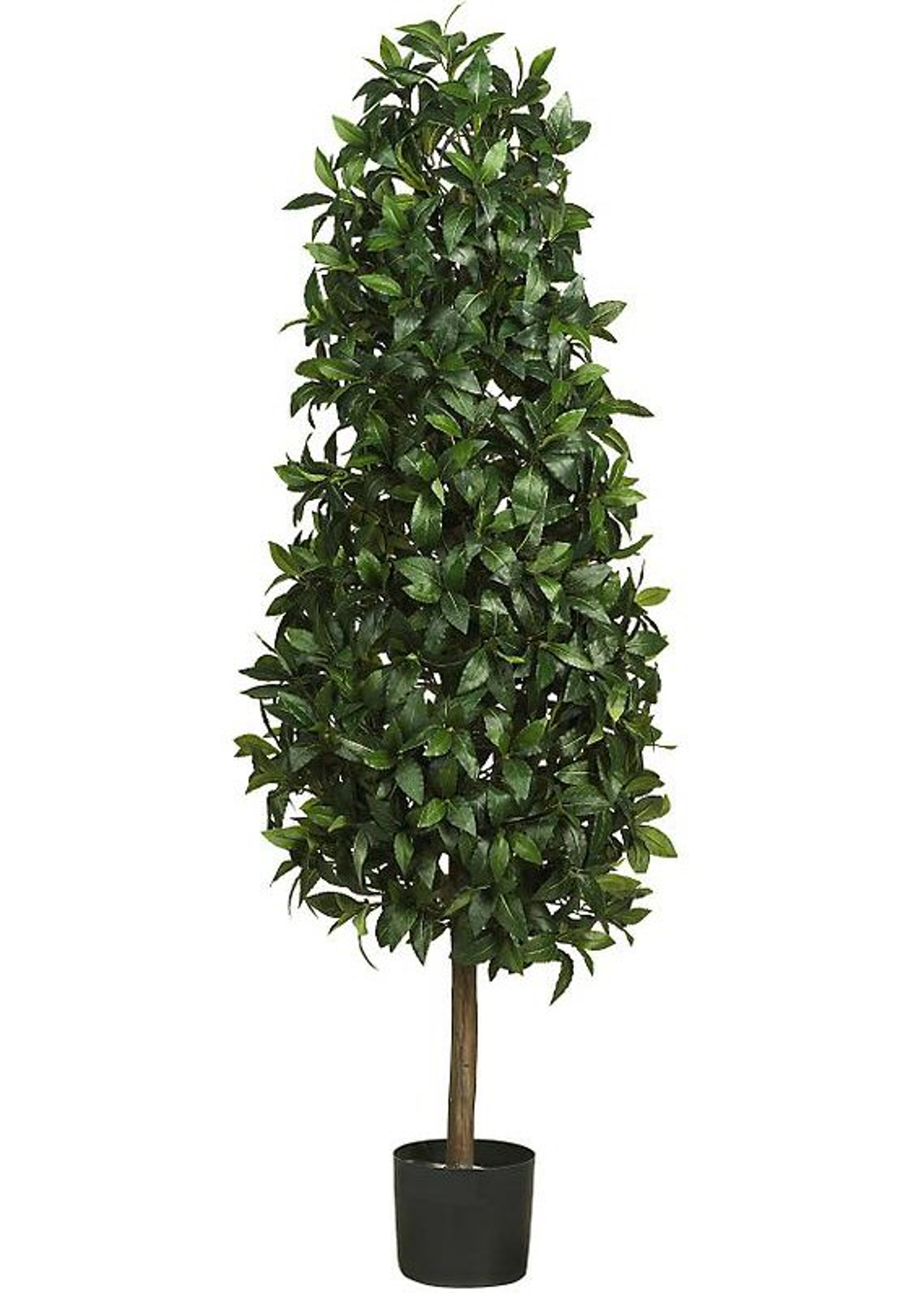 Nearly Natural 5' Sweet Bay Pyramid Silk Tree Artificial Trees Silk