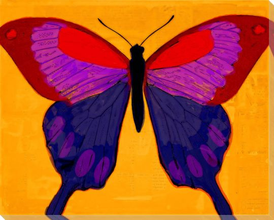 Brilliant Stallion Horses Wrapped Canvas Giclee Print Wall Art Wall Decor Artwork