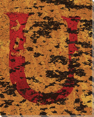 Colorful Letter R Wrapped Canvas Giclee Print Wall Art - Wall Decor ...