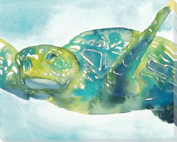 Loggerhead Turtle Wrapped Canvas Giclee Print Wall Art
