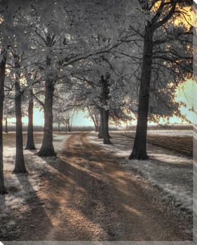 Arcola Driveway Trees Vertical Wrapped Canvas Giclee Print Wall Art