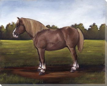 Brown Horse Wrapped Canvas Giclee Print Wall Art