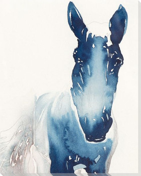 Old Boy Horse Wrapped Canvas Giclee Print Wall Art