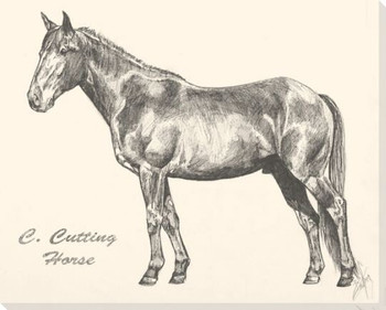 C Cutting Horse Wrapped Canvas Giclee Print Wall Art