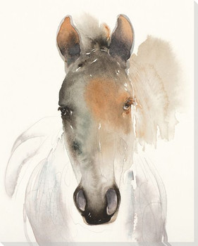 Alert Boy Horse Wrapped Canvas Giclee Print Wall Art