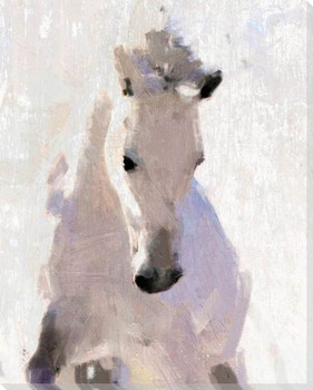 Pat's White Horse Wrapped Canvas Giclee Print Wall Art