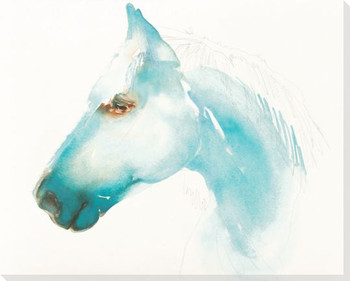 Caribbean Blue Horse Wrapped Canvas Giclee Print Wall Art
