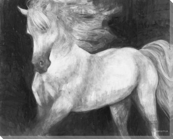 White Shadow Runner Horse Wrapped Canvas Giclee Print Wall Art