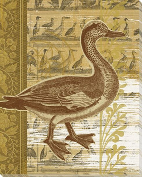 Third Duck Bird Wrapped Canvas Giclee Print Wall Art