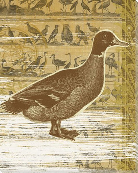 Second Duck Bird Wrapped Canvas Giclee Print Wall Art