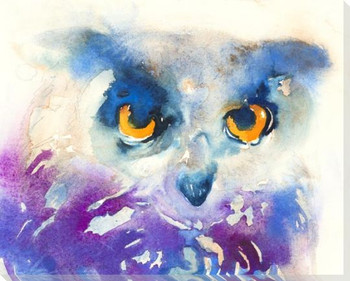 Spotted Owl Bird Wrapped Canvas Giclee Art Print Wall Art