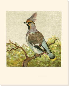 Mini Vintage Birds IV Wrapped Canvas Giclee Print Wall Art