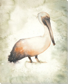 Standing Pelican Bird Wrapped Canvas Giclee Print Wall Art