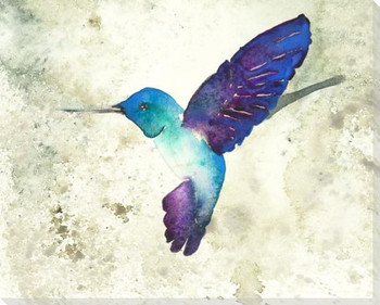 Colorful Hummingbird Wrapped Canvas Giclee Art Print Wall Art