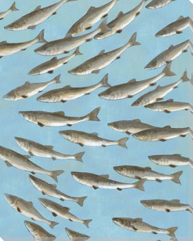School of Fish II Wrapped Canvas Giclee Print Wall Art