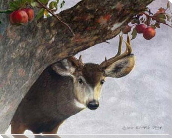 Apple Deer Wrapped Canvas Giclee Print Wall Art