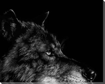Black Wolf Head Wrapped Canvas Giclee Print Wall Art