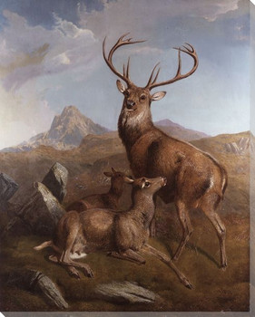 Over the Butts Deer Wrapped Canvas Giclee Print Wall Art