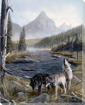 Vantage Point Wolves II Wrapped Canvas Giclee Print Wall Art