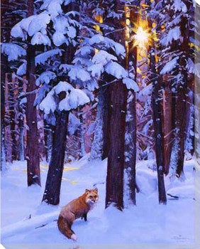 Cold Fire Fox in the Snowy Forest Wrapped Canvas Giclee Print