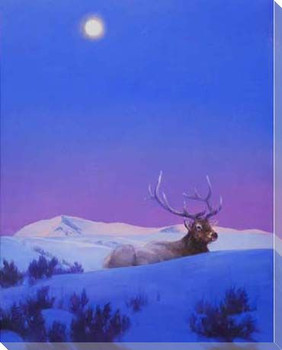 The Gift Elk in the Snow Wrapped Canvas Giclee Print Wall Art