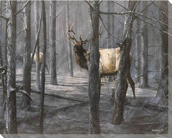 The Consequence of Fire Elk Wrapped Canvas Giclee Print Wall Art