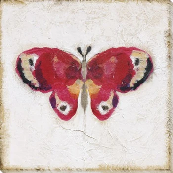 Antique Butterfly I Wrapped Canvas Giclee Print Wall Art