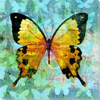 Colorful Butterflies 3 Wrapped Canvas Giclee Art Print Wall Art