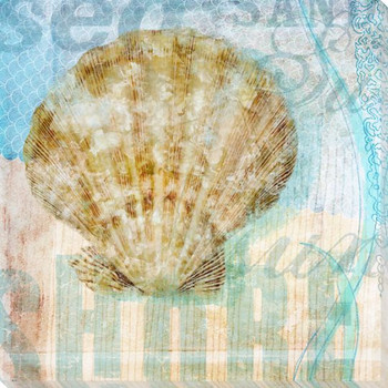 Seashells 1 Wrapped Canvas Giclee Print Wall Art