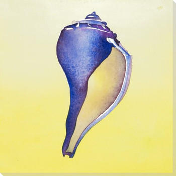 Blue Conch Shell Wrapped Canvas Giclee Print Wall Art