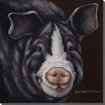 Cute Pig Wrapped Canvas Giclee Print Wall Art