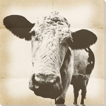 Graphic Cow 1 Wrapped Canvas Giclee Print Wall Art