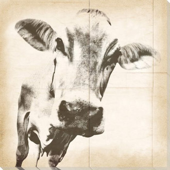 Graphic Cow 2 Wrapped Canvas Giclee Print Wall Art