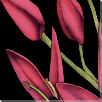 Pink Graphic Lily Flower ML Wrapped Canvas Giclee Print Wall Art