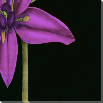 Violet Graphic Lily Flower BR Wrapped Canvas Giclee Print Wall Art