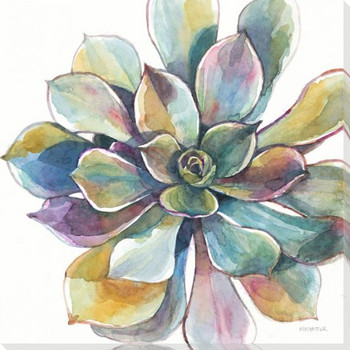 Colorful Succulent Flower 1 Wrapped Canvas Giclee Print Wall Art