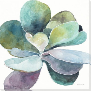 Colorful Succulent Flower 3 Wrapped Canvas Giclee Print Wall Art
