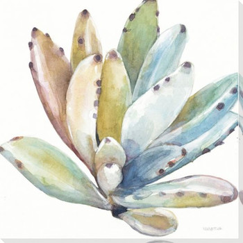 Colorful Succulent Flower 4 Wrapped Canvas Giclee Print Wall Art